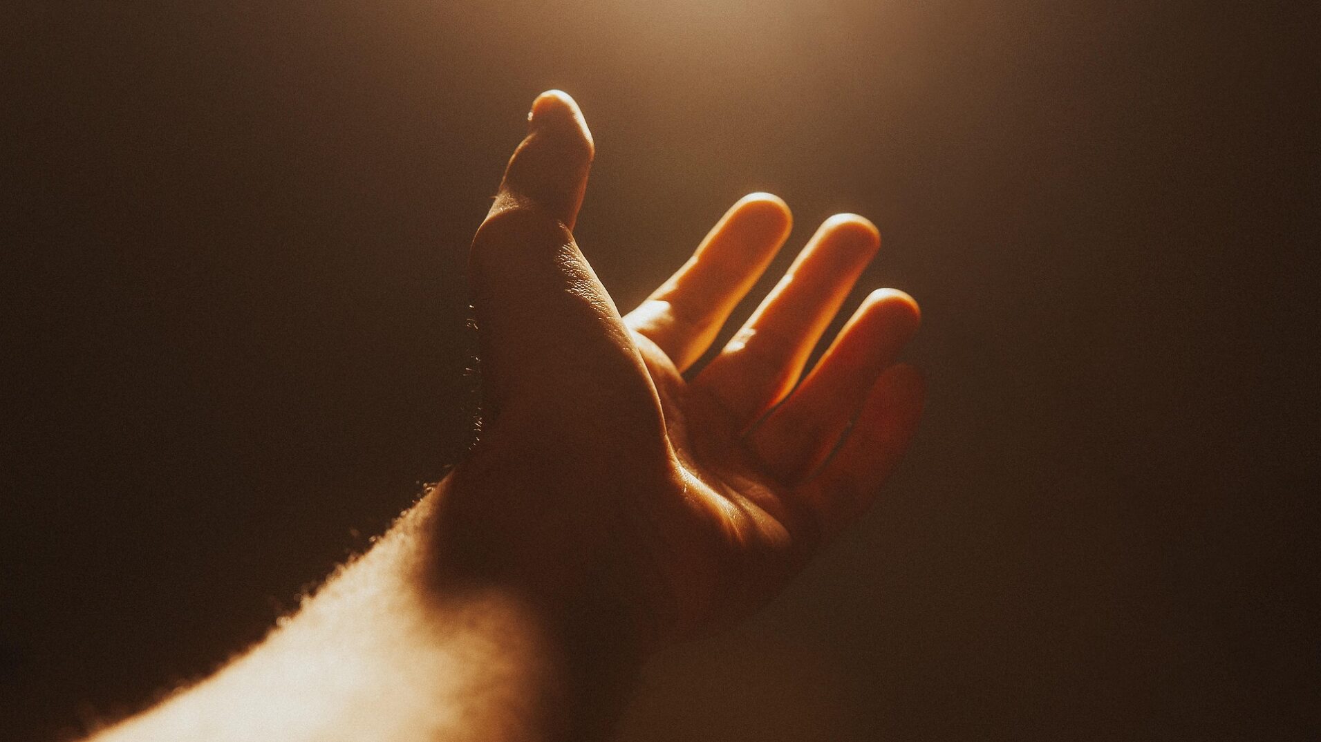 hand-4661763_1920